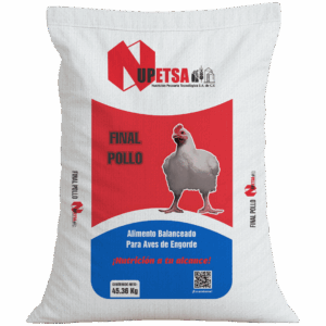 Final Pollo